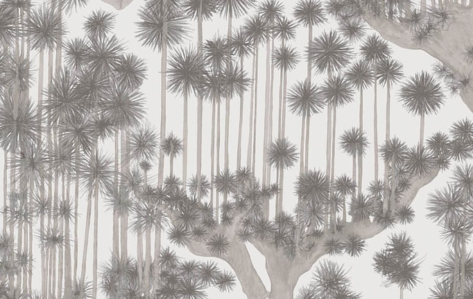 Английские обои Cole & Son, коллекция Shinrin YOKU, артикул 126/6019