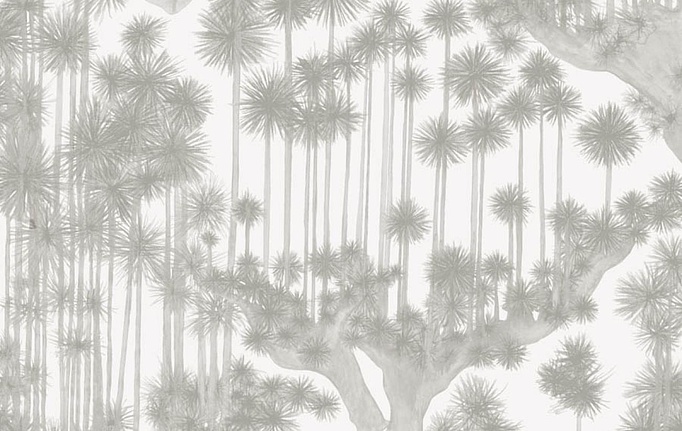 Английские обои Cole & Son, коллекция Shinrin YOKU, артикул 126/6020