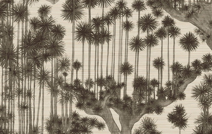 Английские обои Cole & Son, коллекция Shinrin YOKU, артикул 126/6024