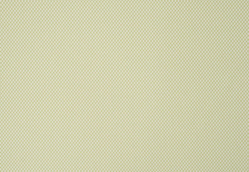 Ткань Jim Thompson Serge / Dorothee Outdoor N9012447007