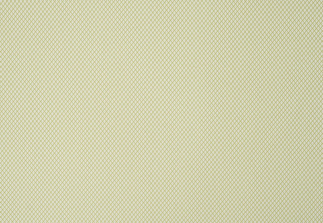 Ткань Jim Thompson Serge / Dorothee Outdoor N9012447007