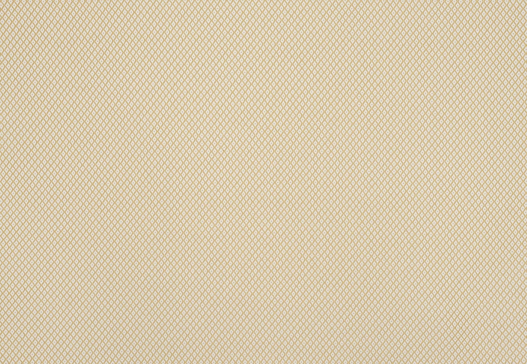 Ткань Jim Thompson Serge / Dorothee Outdoor N9012447008