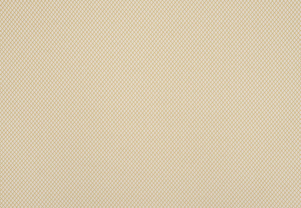 Ткань Jim Thompson Serge / Dorothee Outdoor N9012447008