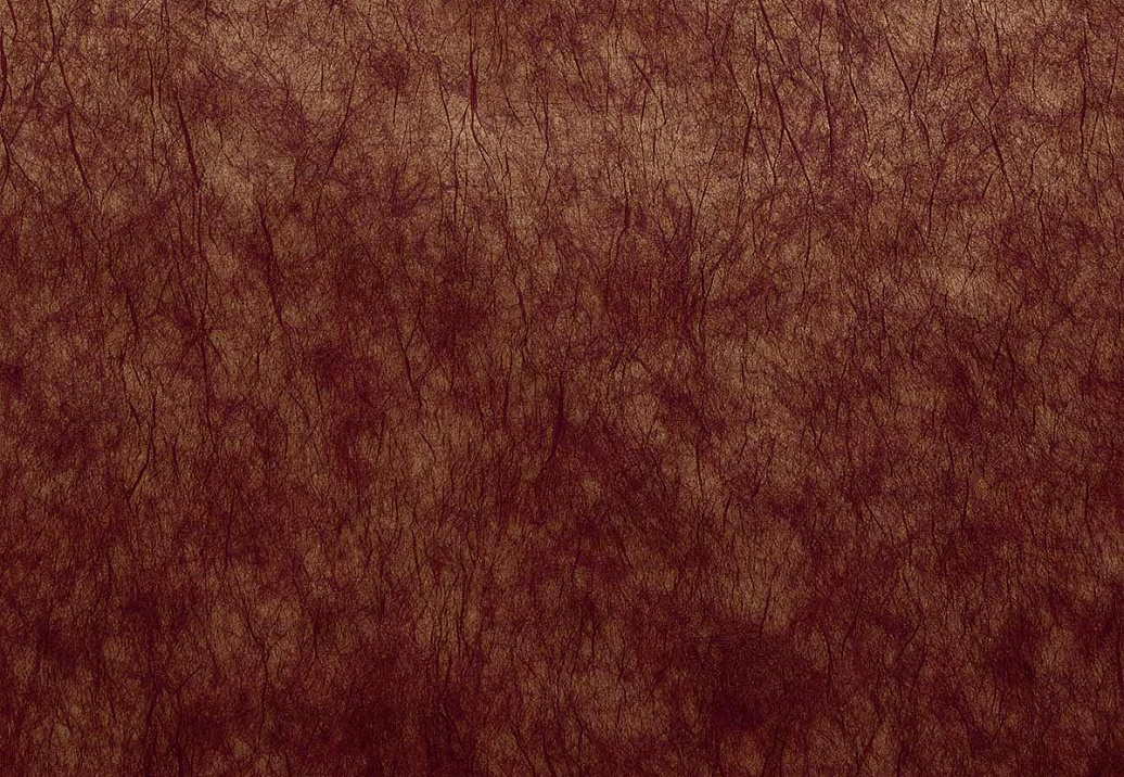 Обои Casamance Impulsion 71880929