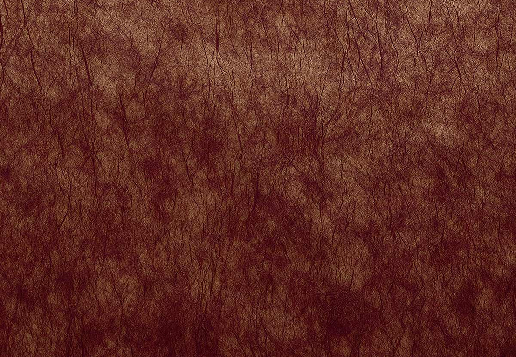 Обои Casamance Impulsion 71880929