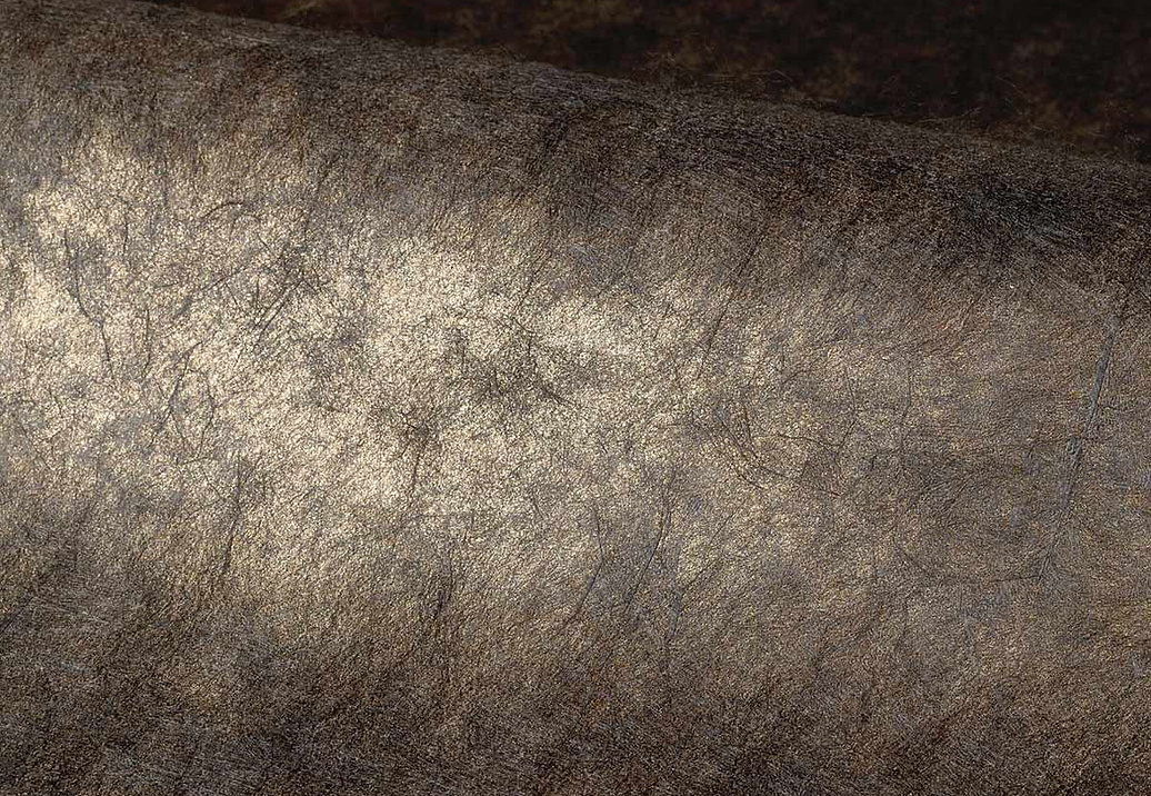 Обои Casamance Impulsion 71881199