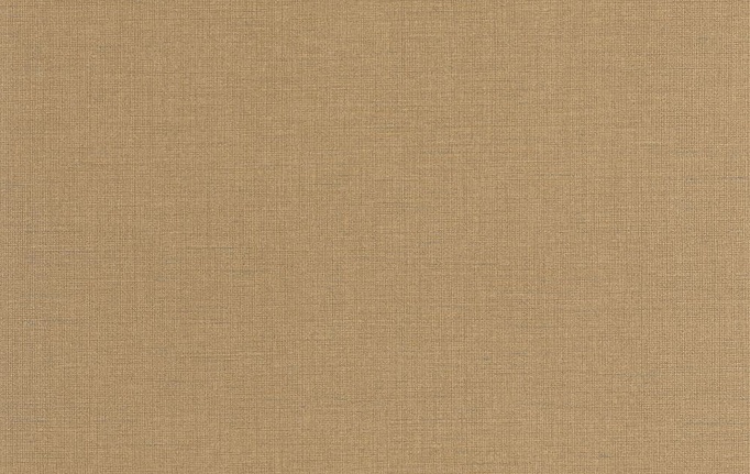 Французские обои Casadeco, коллекция So Color 6, артикул SOCO200562108