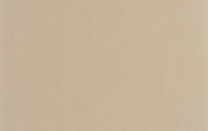 Французские обои Casadeco, коллекция So Color 6, артикул SOCO201001313