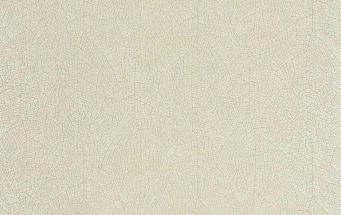 Французские обои Casadeco, коллекция So Color 6, артикул SOCO201287117