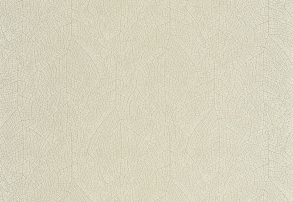 Обои Casadeco So Color 6 SOCO201287117