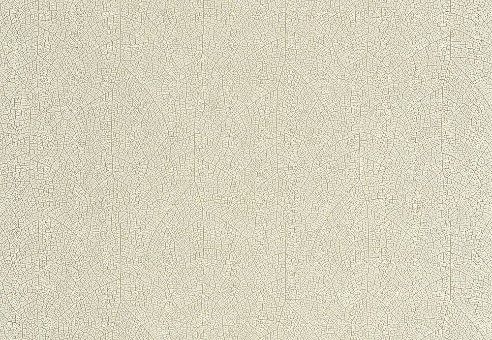 Обои Casadeco So Color 6 SOCO201287117