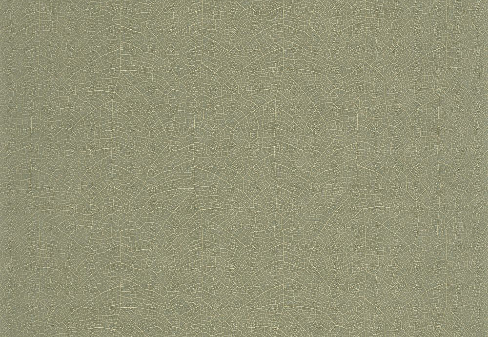 Обои Casadeco So Color 6 SOCO201287373