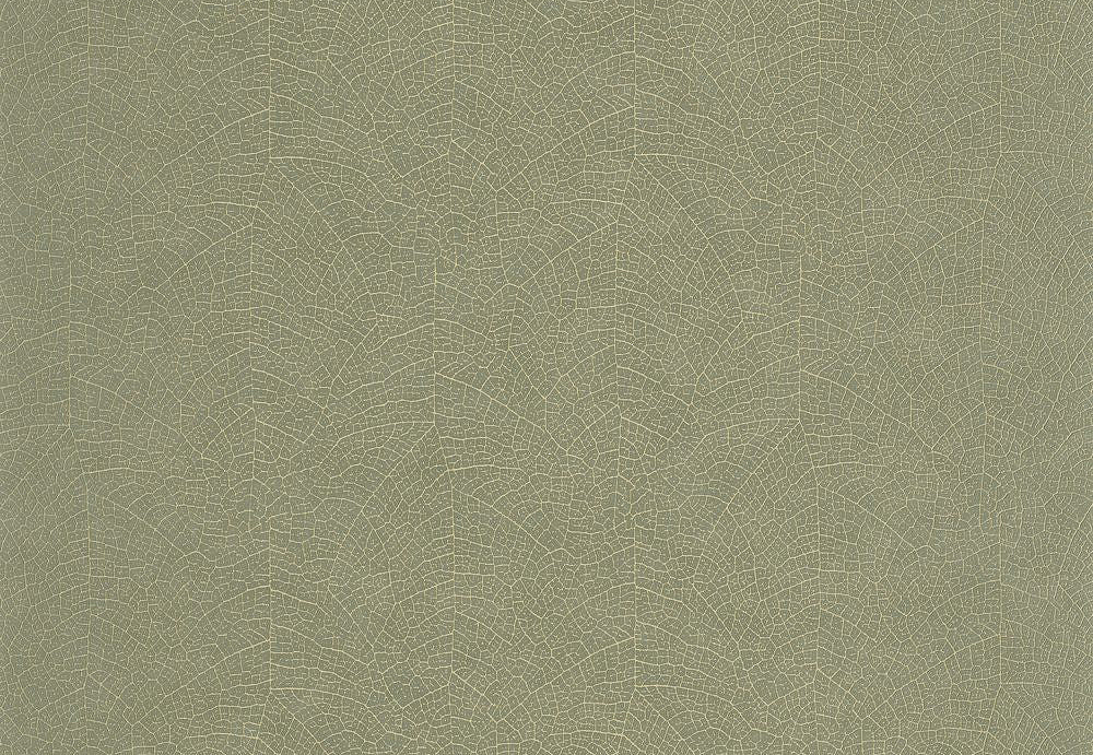 Обои Casadeco So Color 6 SOCO201287373