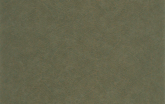 Французские обои Casadeco, коллекция So Color 6, артикул SOCO201287909
