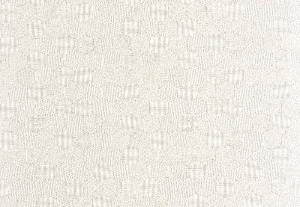 Обои Casadeco So Color 6 SOCO201910073