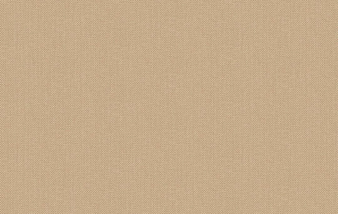Французские обои Caselio, коллекция Natte 2, артикул NAE2101561942