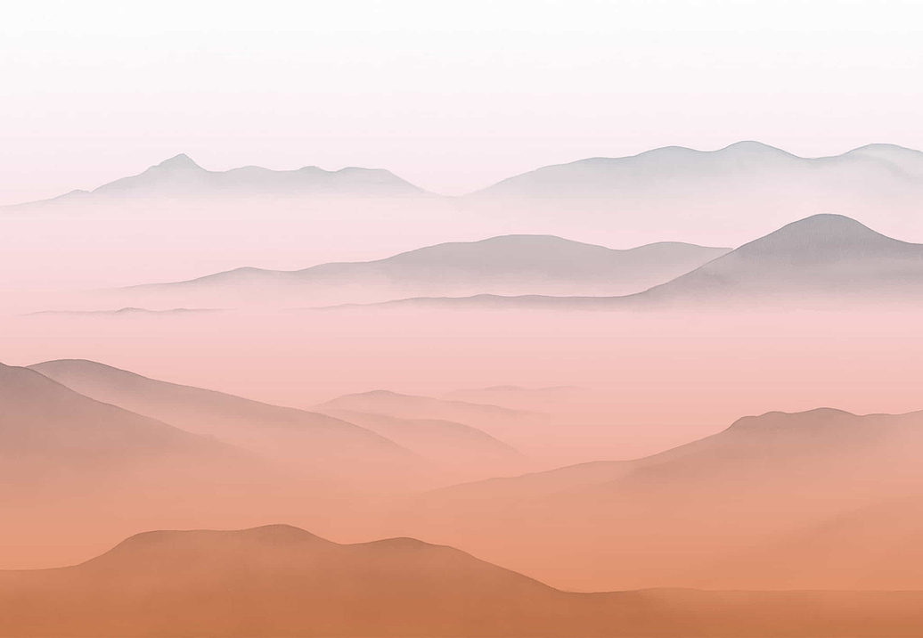 Обои Yana Svetlova Wallcoverings Art Prints A25-SEPIA