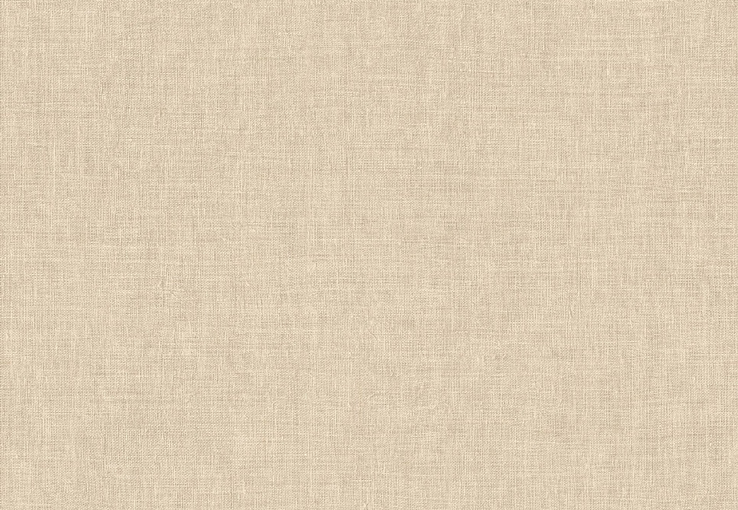 Обои Arte Indienne 18349