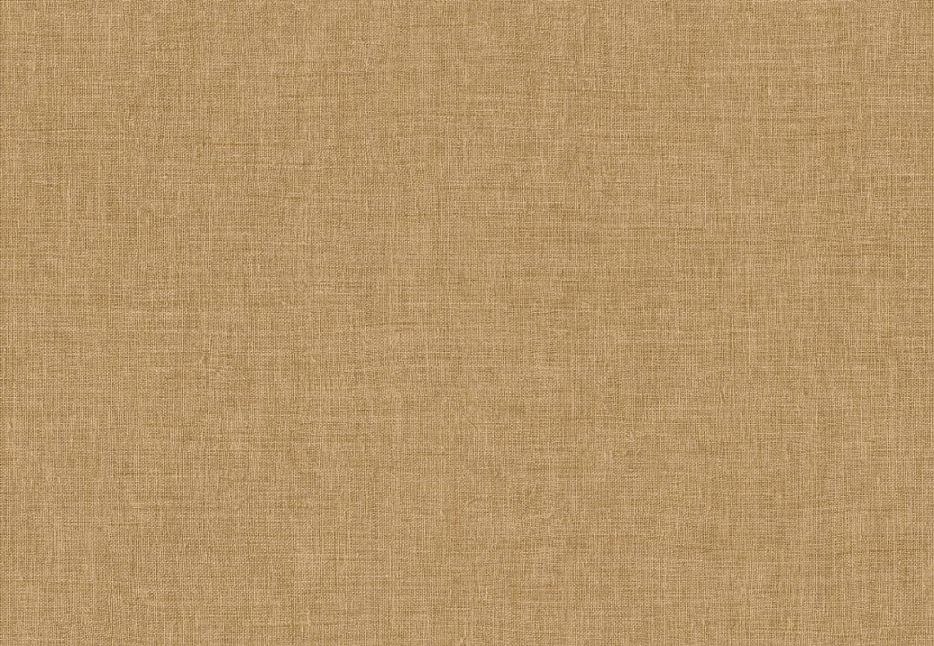 Обои Arte Indienne 18350