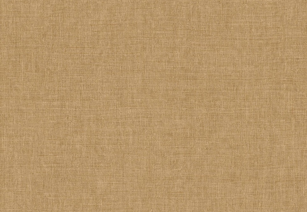 Обои Arte Indienne 18350