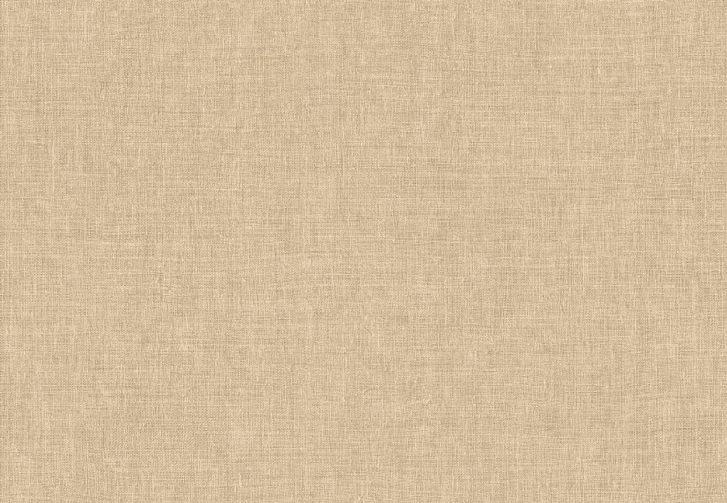 Обои Arte Indienne 18351