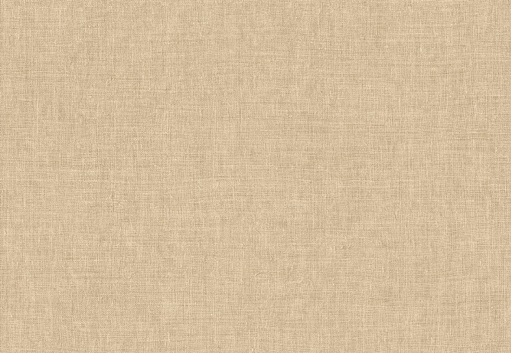 Обои Arte Indienne 18351