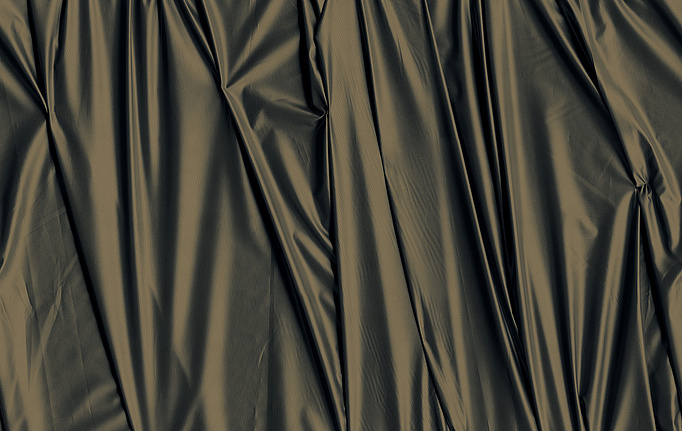 Российские панно и фотообои Factura, коллекция Collection 2026, артикул Silk/5