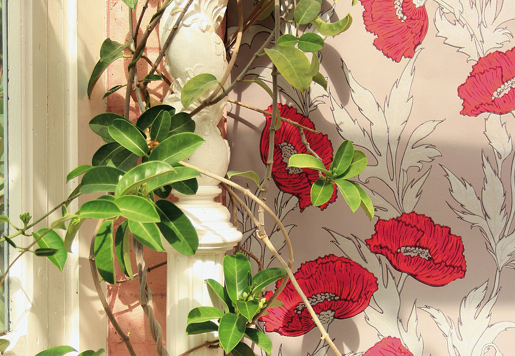 Обои Cole & Son Collection of Flowers 81/1001