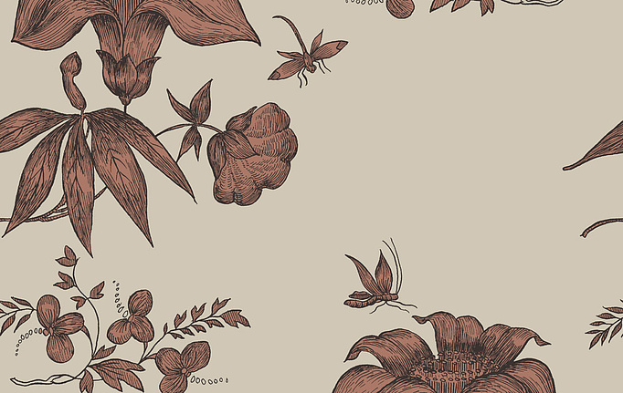 Английские обои Cole & Son, коллекция Fornasetti, артикул 77/8031