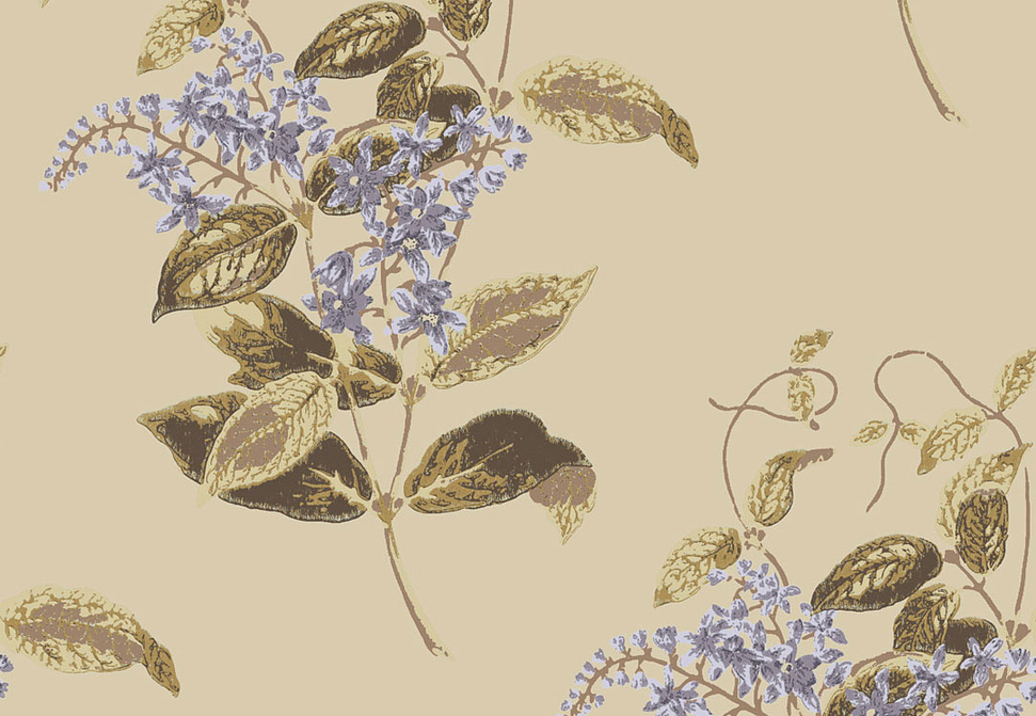 Обои Cole & Son Collection of Flowers 81/6026