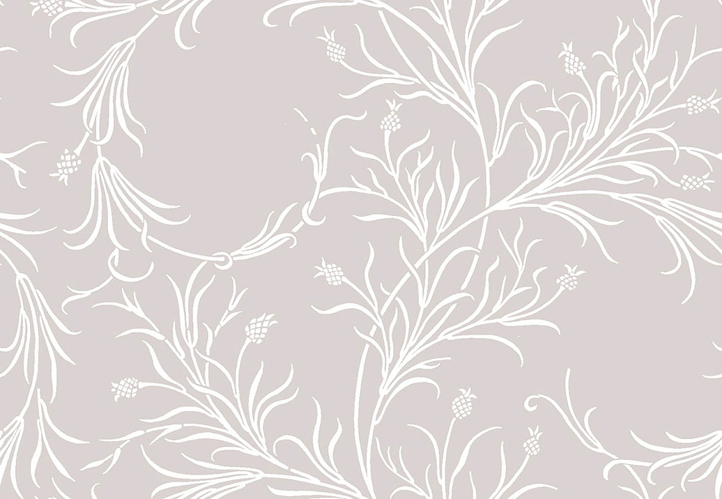 Обои Cole & Son Collection of Flowers 81/12050