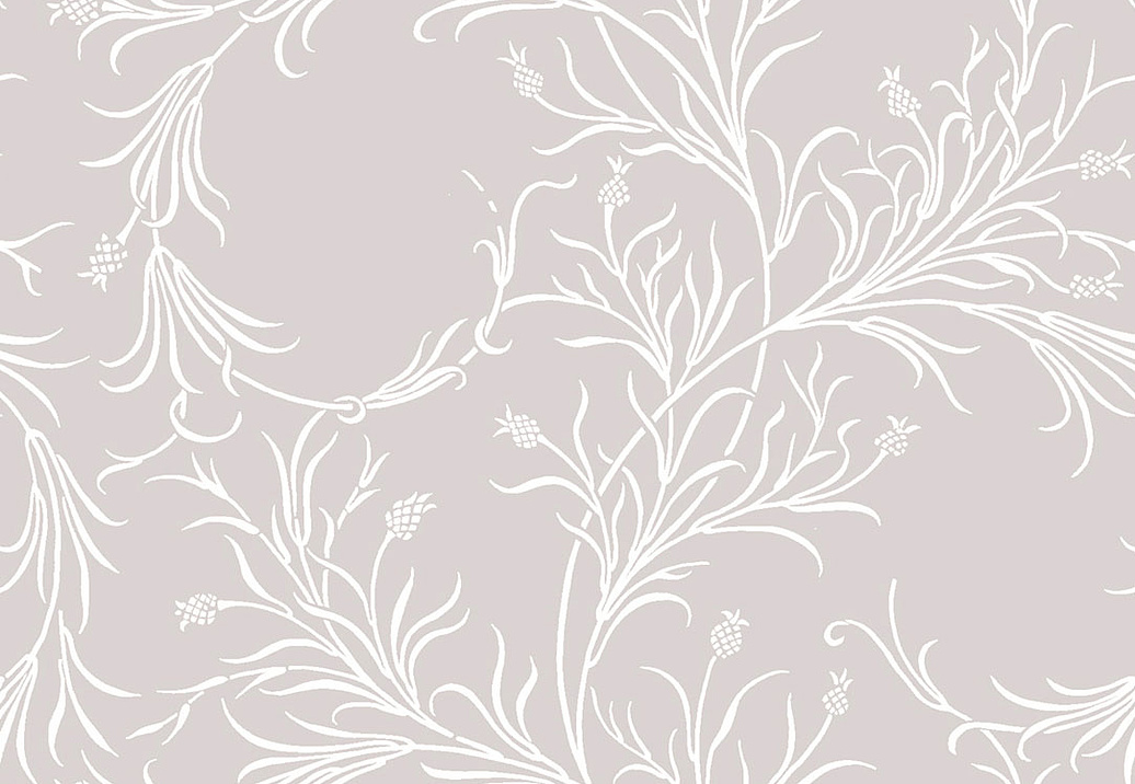 Обои Cole & Son Collection of Flowers 81/12050