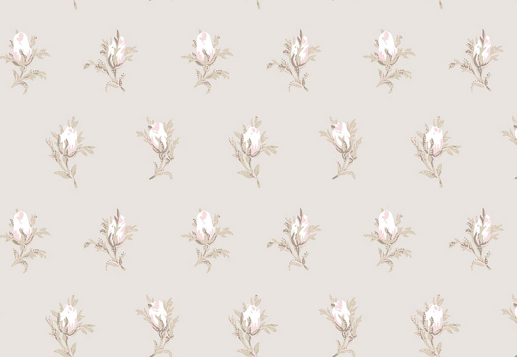 Обои Cole & Son Collection of Flowers 81/4015
