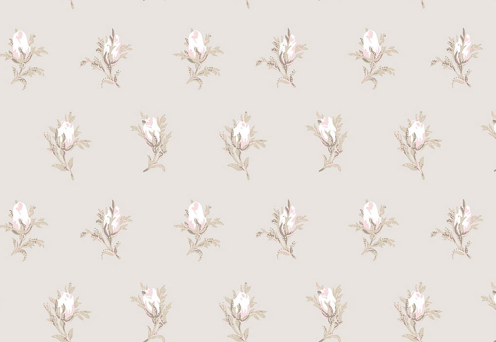 Обои Cole & Son Collection of Flowers 81/4015