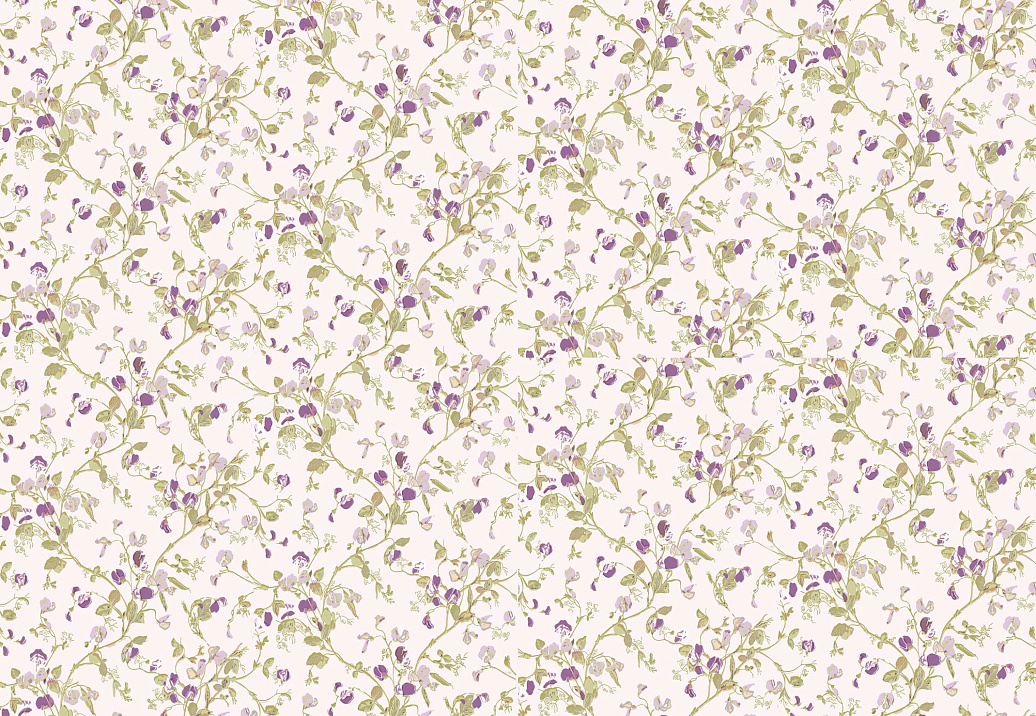 Обои Cole & Son Collection of Flowers 81/11047