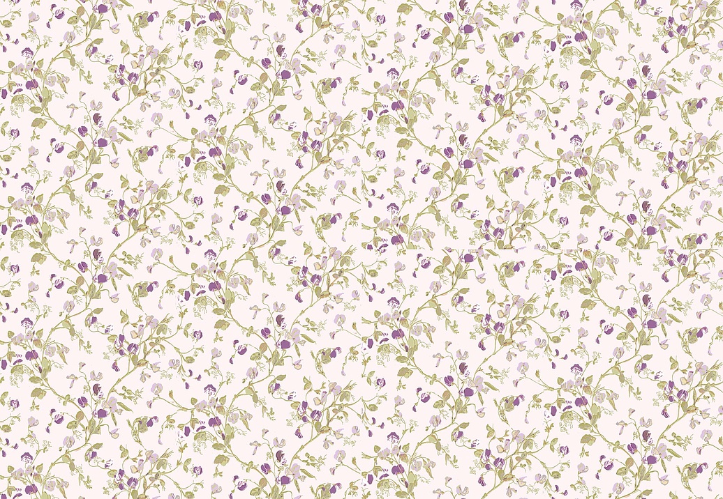 Обои Cole & Son Collection of Flowers 81/11047