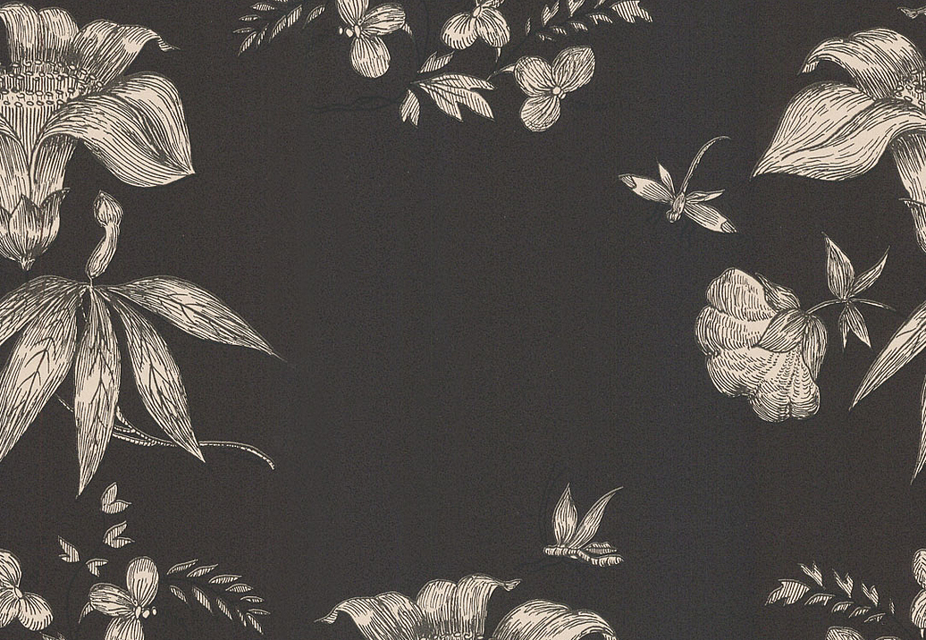 Обои Cole & Son Fornasetti 77/8030