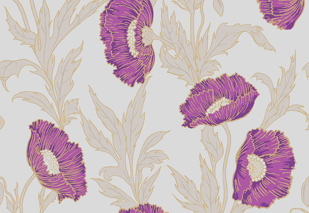 Обои Cole & Son Collection of Flowers 81/1004