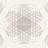 Обои A. S. Creation Papers Lars Contzen 6804-64