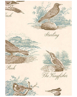 Обои Lewis & Wood Book I - Sporting & Character LW153120/Bewick Birds Sea Holly