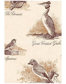 Обои Lewis & Wood Book I - Sporting & Character LW153155/Bewick Birds Bracken