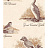 Обои Lewis & Wood Book I - Sporting & Character LW153155/Bewick Birds Bracken