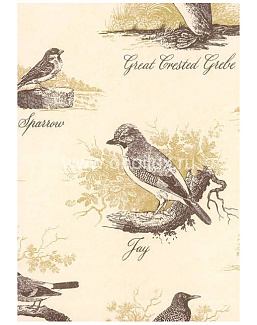 Обои Lewis & Wood Book I - Sporting & Character LW153250/Bewick Birds Gorse