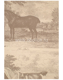 Обои Lewis & Wood Book I - Sporting & Character LW9595/Gilpin Horses Smoke