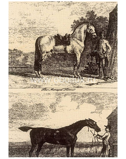 Обои Lewis & Wood Book I - Sporting & Character LW95106/Gilpin Horses Black