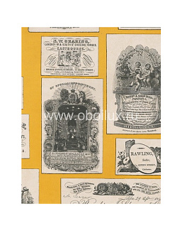 Обои Lewis & Wood Book I - Sporting & Character LW5473/Trade Cards Yellow