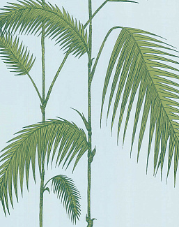 Обои Cole & Son The Contemporary Collection 66-2010