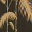 Обои Cole & Son The Contemporary Collection 66-2014