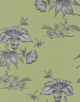 Обои Cole & Son Fornasetti 77/8028