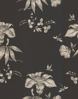 Обои Cole & Son Fornasetti 77/8030